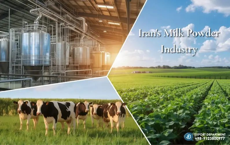 Everything about the production, export and purchase of exported milk powder from Iran